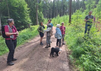 Wandergruppe TVL 7.6.26