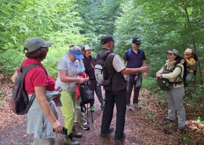 Wandergruppe TVL 7.6.26